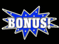 Internet casino bonusi